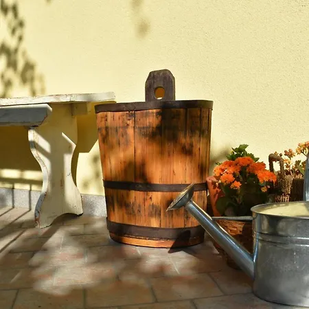 Cividalemia, Casa Cividale Del Friuli