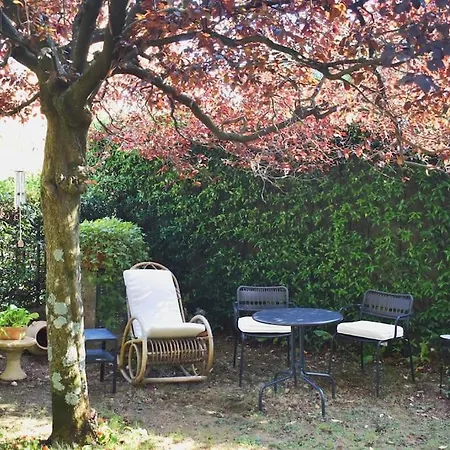 Cividalemia, Casa Cividale Del Friuli